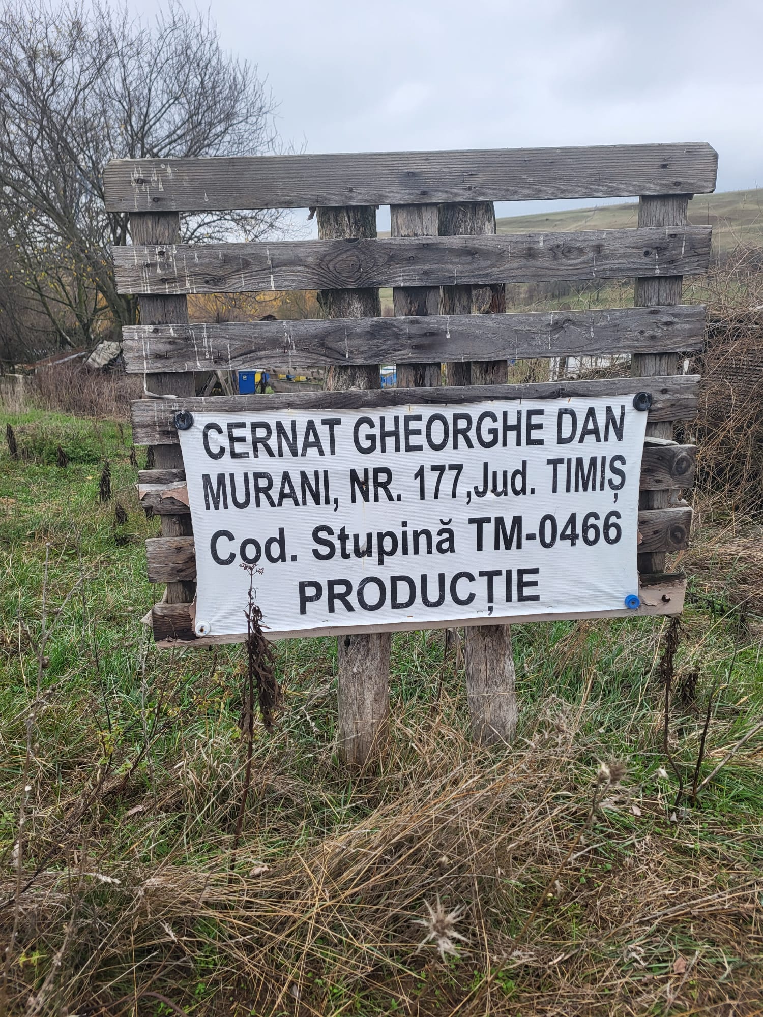 Panou cu inscripția Cernat Gheorghe Dan, Murani nr. 177, cod stupină TM‑0466